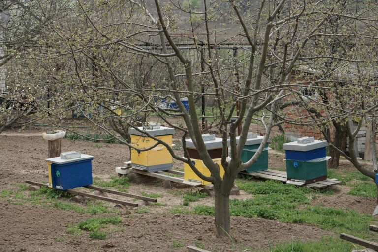 dmytro-glazunov-DUrM91DrTwE-unsplash